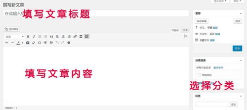 網站文章內容是否需要加圖片